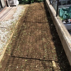 草むしり作業 − 千葉県