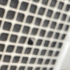 SHARP プラズマクラスター 加湿空気清浄機  の画像