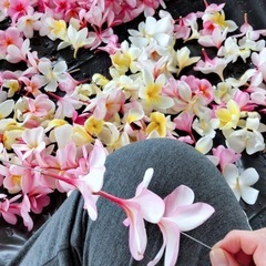 【北谷】土曜日9:00〜🌺フラ🌺募集の画像