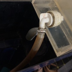 アクリル水槽の画像