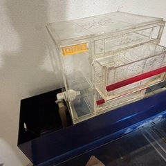 アクリル水槽の画像