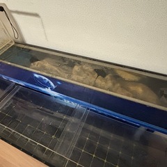 アクリル水槽の画像
