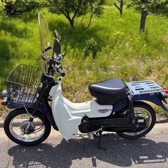 バーディー５０　FIの画像