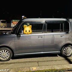 ムーヴコンテの画像
