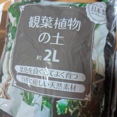 植木鉢セットの画像