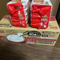 アイリスオーヤマ　パックご飯　60食　180g