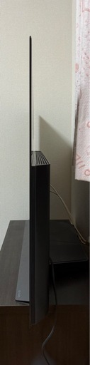 　LG 　有機ELテレビ　48型
