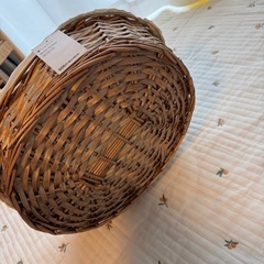 カゴ バスケット 猫 ペット ニューボーンフォトの画像