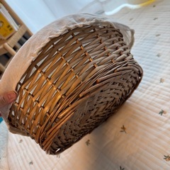 カゴ バスケット 猫 ペット ニューボーンフォトの画像