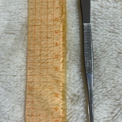ピンセット　家庭用　標本用の画像