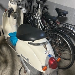 (決まりました)ホンダscoopy の画像