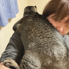 雑談通話から - 川越市
