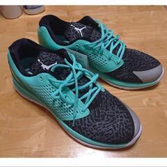 NIKE  ジョーダン  29.5cm　グリーン　未使用