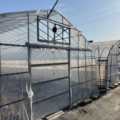 受け渡し決まりました　受付終了します　ビニールハウス　6月から解体　サイズ約540-2100-280-22mmの画像