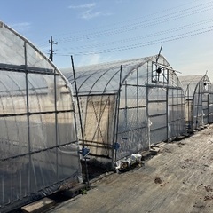 受け渡し決まりました　受付終了します　ビニールハウス　6月から解体　サイズ約540-2100-280-22mmの画像
