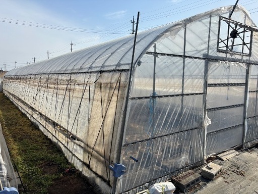 受け渡し決まりました　受付終了します　ビニールハウス　6月から解体　サイズ約540-2100-280-22mm