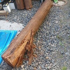 杉　丸太　伊豆高原産です！DIYにどうぞの画像