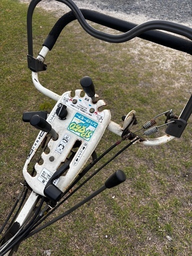 スパイダーモア