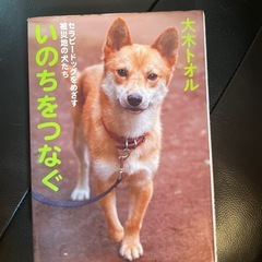 本の画像