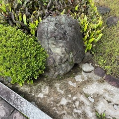 庭石の画像