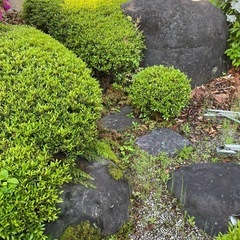 庭石の画像