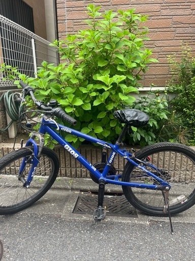 子供用自転車マウンテンバイクGIOS GENOVA 22インチ (vivakei