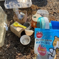 ハムスター飼育セットの画像
