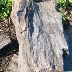 庭石(小さめ)の画像