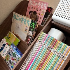 ねこのきもち 37冊