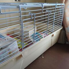 値下げしました！！新品未使用　うさぎ　飼育セット8000→6000の画像