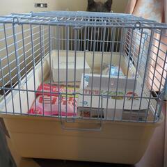 値下げしました！！新品未使用　うさぎ　飼育セット8000→6000の画像