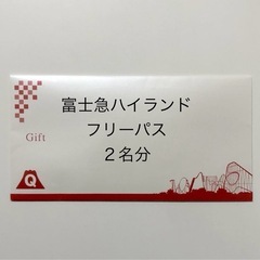 富士急ハイランドフリーパス　大人２名分