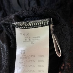 大きめサイズ ブラウスの画像