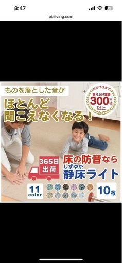 6月1日まで〆　静床ライト67枚+2枚