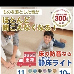 6月1日まで〆　静床ライト65枚