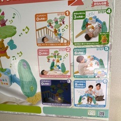 プーメリーの画像