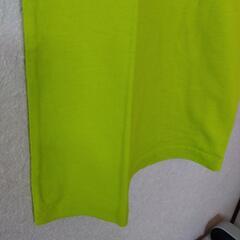 Ｔシャツ👕の画像