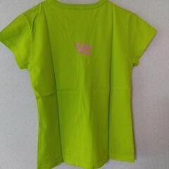 Ｔシャツ👕の画像