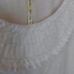 👕Ｔシャツの画像