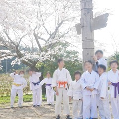 合氣道　白心館の画像