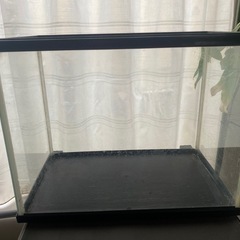 30センチ水槽　②