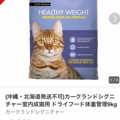 キャットフード