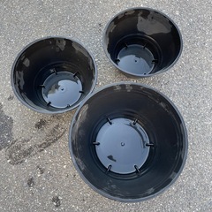 メダカ　鉢　3点セットの画像