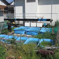 メダカの飼育棚用単管パイプセット　詳しい内容は説明文でご確認下さい！！！の画像