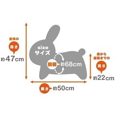 ブルーナボンボンの画像