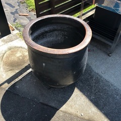 大型 瓶 メダカ 金魚 水槽
