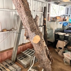 黒木　他　材木　の画像