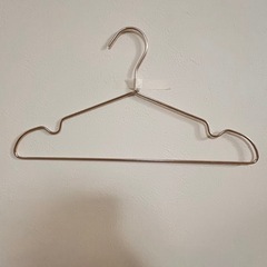 6/22以降取引可　
ハンガー　10本セットの画像
