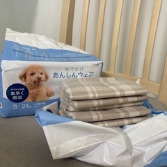 小型犬用おむつの画像