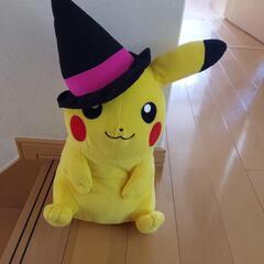 ぬいぐるみの画像